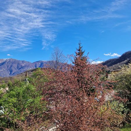 Hotel Zelindo Losone ภายนอก รูปภาพ