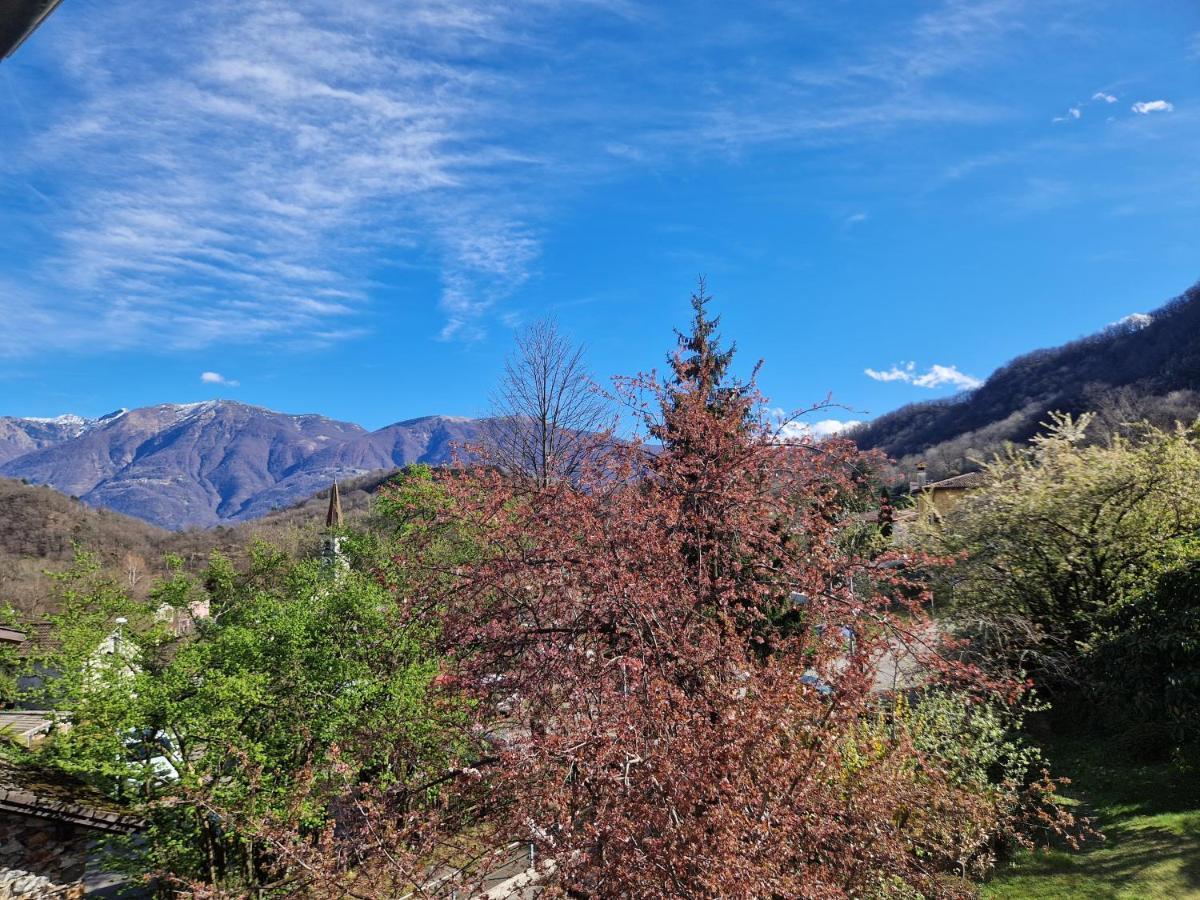 Hotel Zelindo Losone ภายนอก รูปภาพ